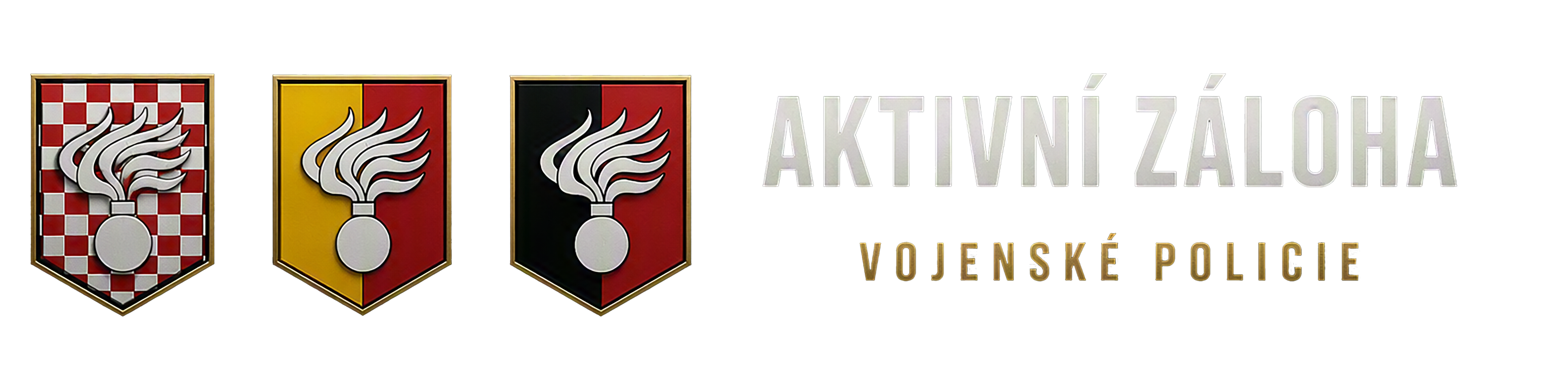 Logo AZVP
